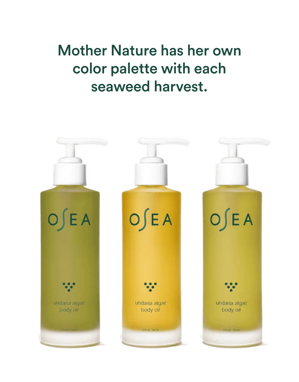 Undaria Algae™ Body Oil Travel Size - Image 4
