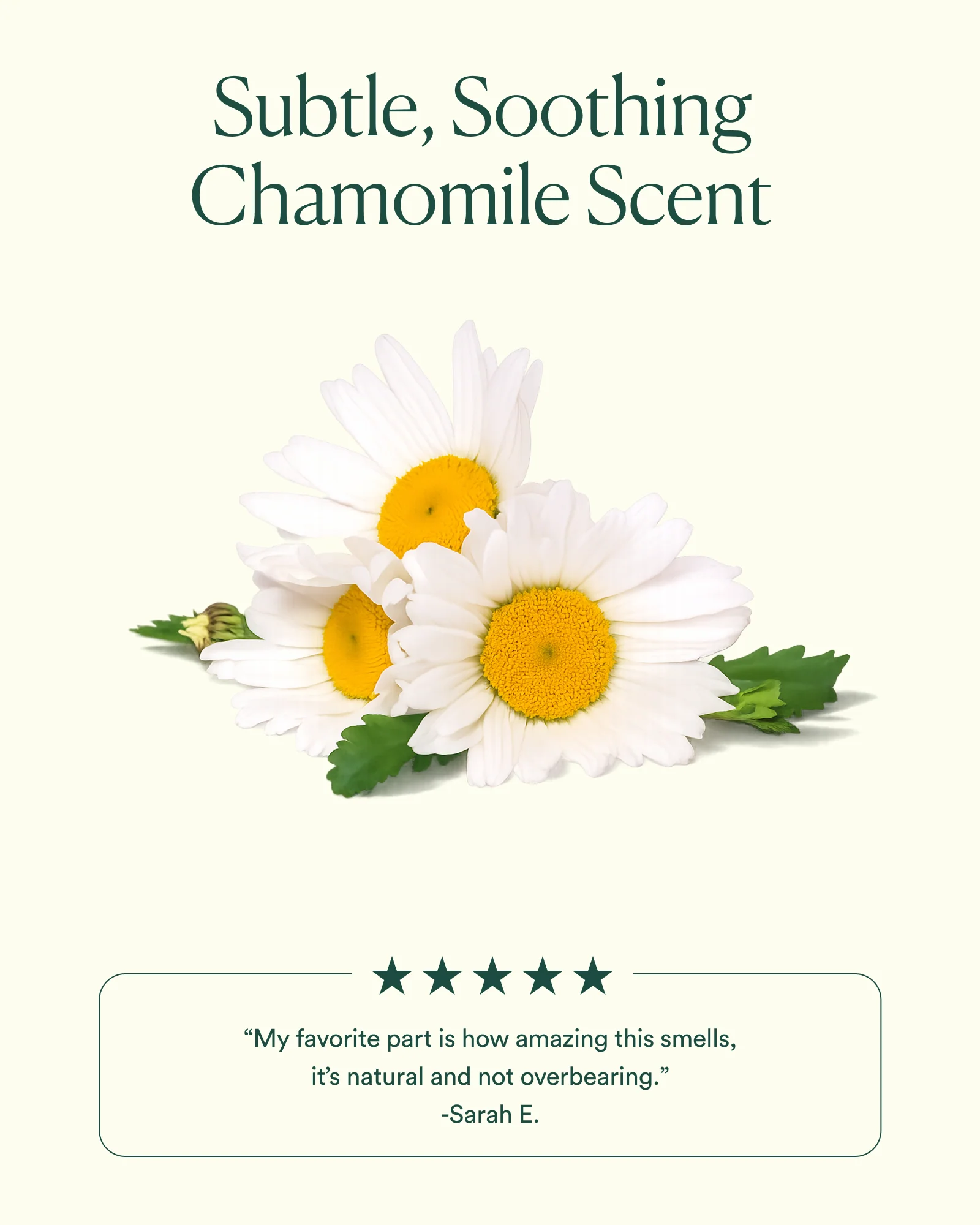 Dayglow Face Oil® - Image 6