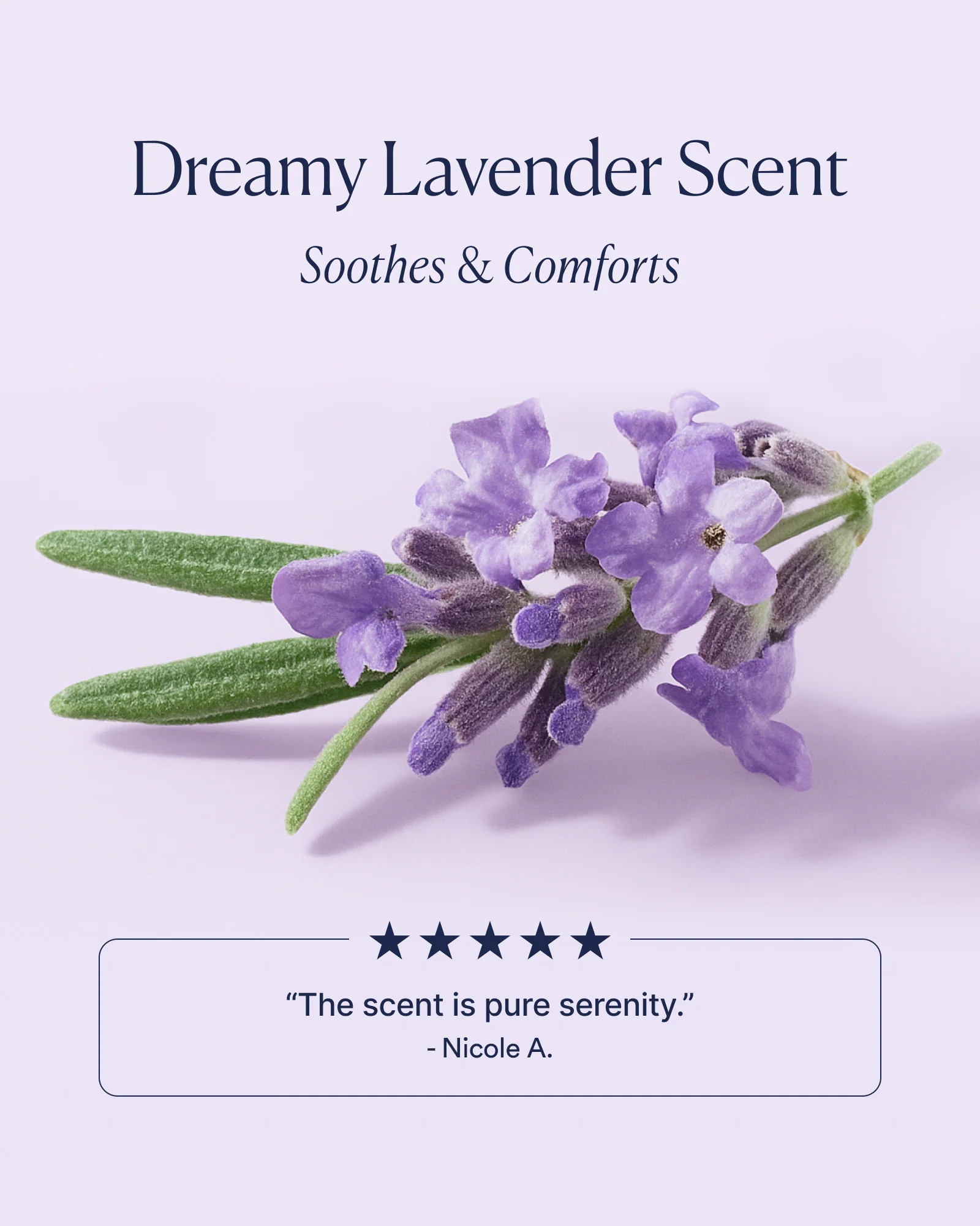 Dream Bio-Retinol Body Serum - Image 6