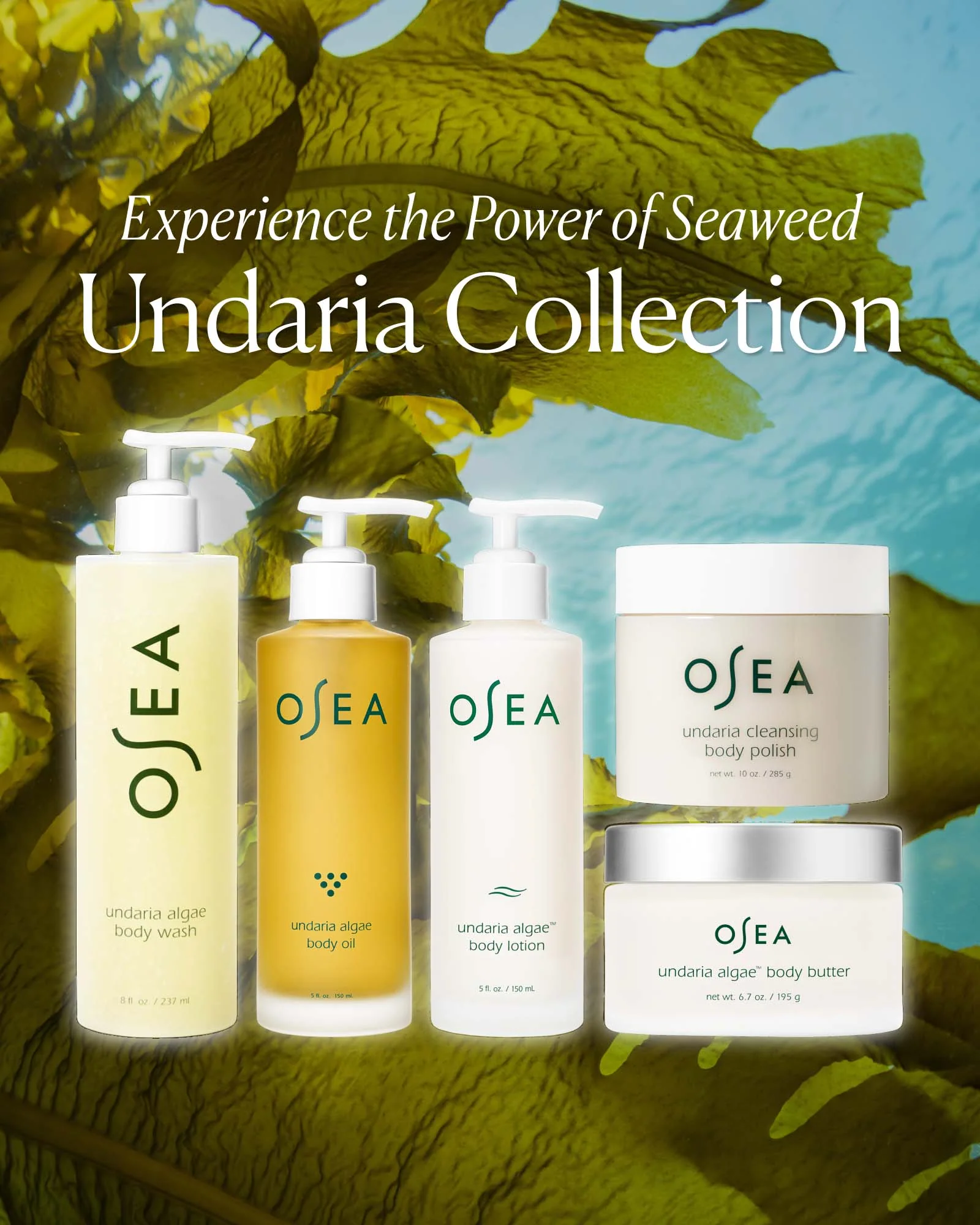 Undaria Algae™ Body Wash - Image 7