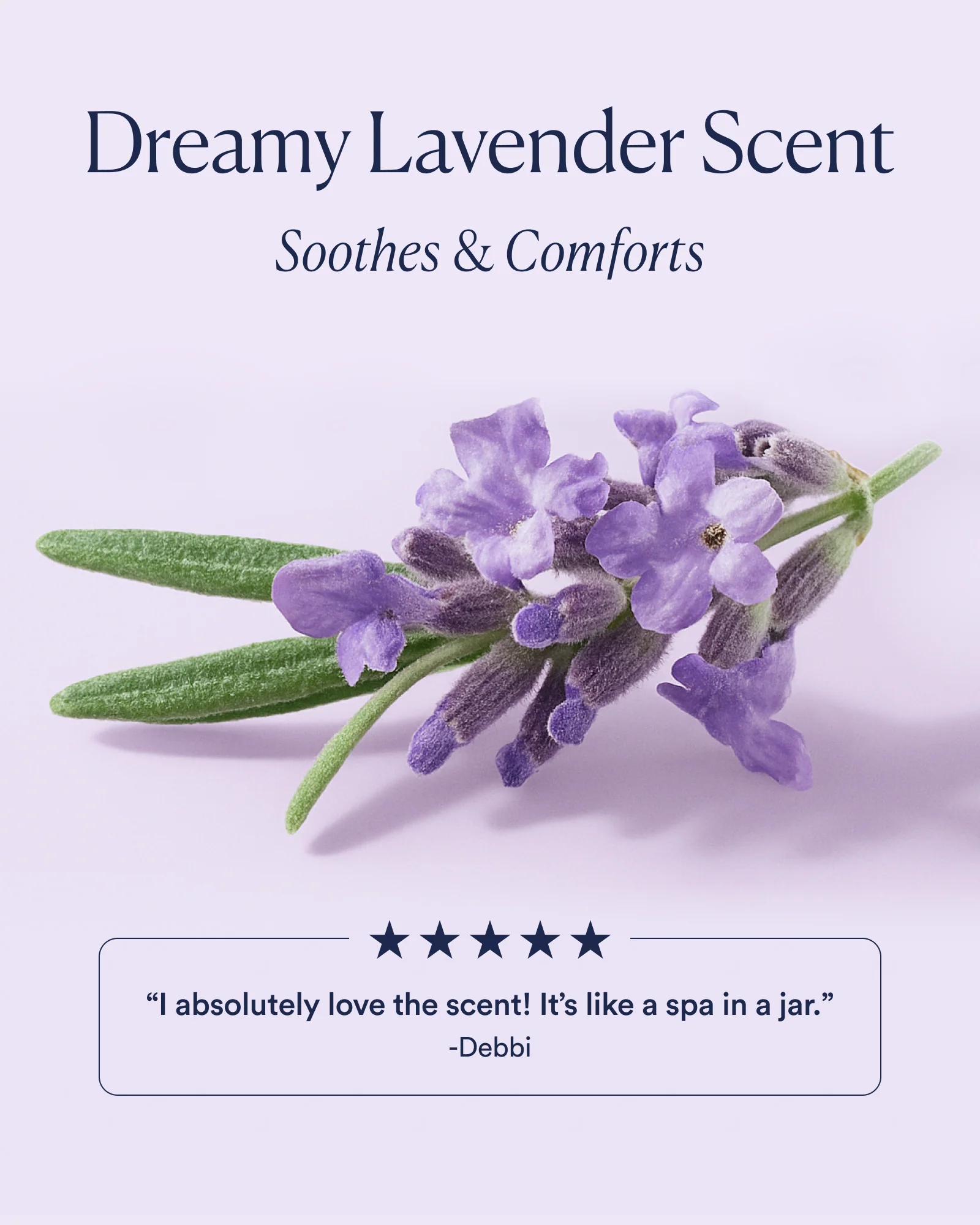 Salts of the Earth Body Scrub - Image 4