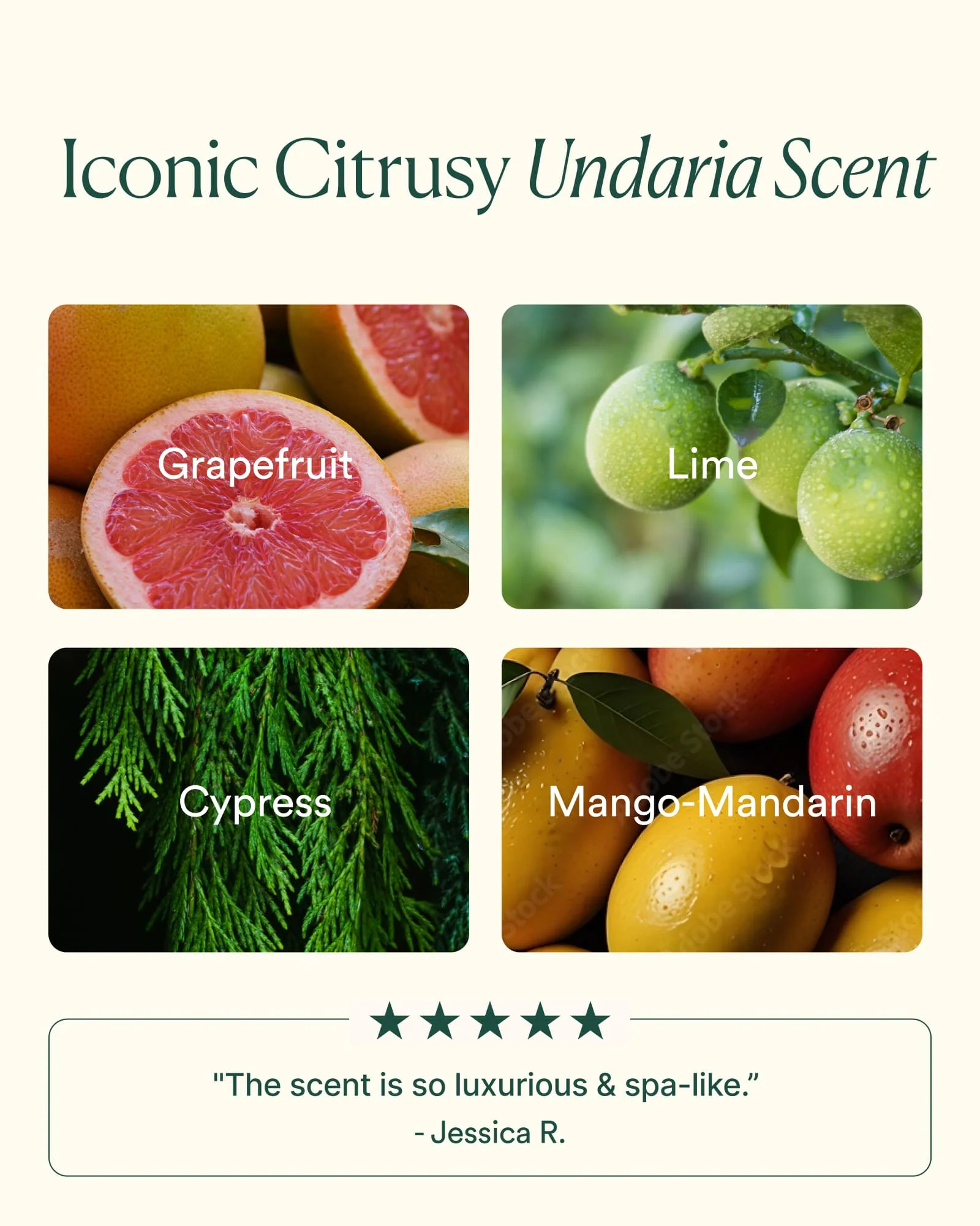 Undaria Cleansing Body Polish - Image 5