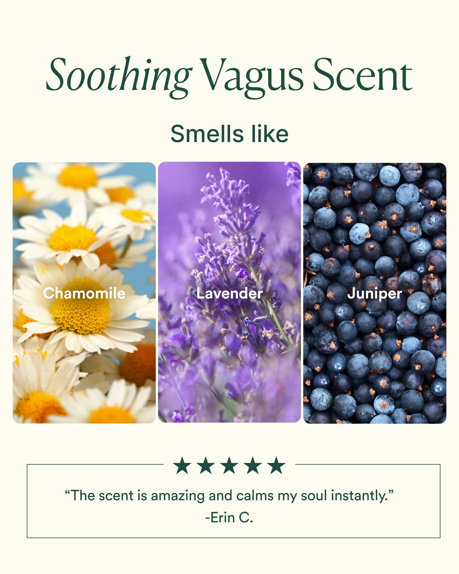 Vagus Nerve Pillow Mist - Image 4